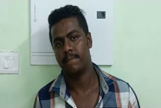 കൊല്ലം ഷവർമ കേസ്  KOLLAM SHAWARMA ISSUE  YOUTH ARRESTED IN KOLLAM  ഷവർമ