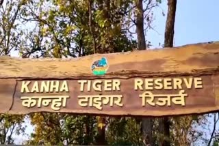 KANHA TIGER RESERVE OPEN