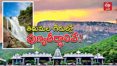 tirumala_tirupat