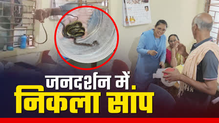 Snake found in Dhamtari Jandarshan