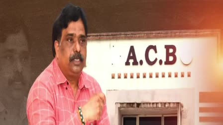 Venkata Reddy Custody Petition