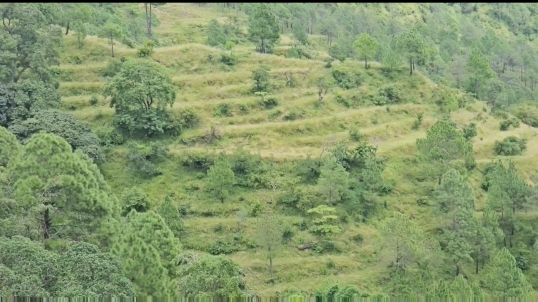 Kaligaad village Almora