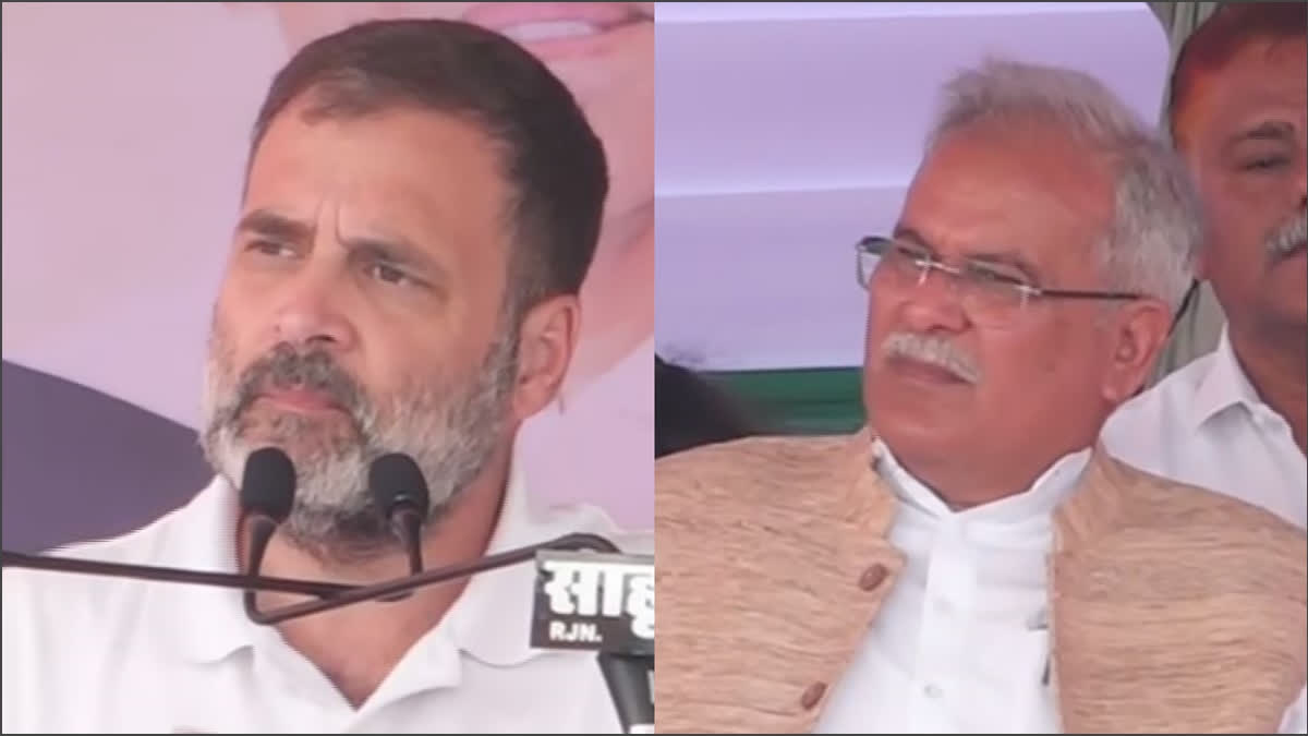 Rahul Gandhi Blunder In Rajnandgaon  Rahul Gandhi Blunder In Rajnandgaon rally  Rahul Gandhi Called CM Baghel Working For Adani  Rahul Gandhi faux pas in Chhattisgarh  Bhupesh Baghel  Bhupesh Baghel works for Adani  Rahul Gandhi blunder  ಅದಾನಿಯವರಂತಹ ಜನರಿಗಾಗಿ ಕೆಲಸ ಮಾಡುತ್ತಿದ್ದಾರೆ ಸಿಎಂ  ಮಾತಿನ ಭರದಲ್ಲಿ ರಾಹುಲ್​ ಗಾಂಧಿ ಎಡವಟ್ಟು  ಕಾಂಗ್ರೆಸ್​ ನಾಯಕ ರಾಹುಲ್​ ಗಾಂಧಿ ಟಂಗ್​ ಸ್ಲಿಪ್​​ ವಿಡಿಯೋ ಸದ್ಯ ಸಾಮಾಜಿಕ ಮಾಧ್ಯಮಗಳಲ್ಲಿ ಸಂಚಲನ  ಕಾಂಗ್ರೆಸ್ ಸಂಸದ ರಾಹುಲ್ ಗಾಂಧಿ ಮತ್ತೊಮ್ಮೆ ಎಡವಟ್ಟು  ಚುನಾವಣಾ ರ್‍ಯಾಲಿಯಲ್ಲಿ ಪ್ರಧಾನಿ ಮೋದಿ ವಿರುದ್ಧ ವಾಗ್ದಾಳಿ  ರಾಹುಲ್ ಗಾಂಧಿ ಟಂಗ್​ ಸ್ಲಿಪ್  ಸಿಎಂ ಬಘೇಲ್ ಅವರು ಅದಾನಿ ಪರ ಕೆಲಸ ಮಾಡುವ ವ್ಯಕ್ತಿ