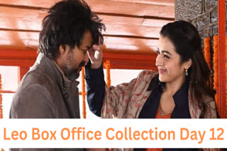 Leo Box Office Collection