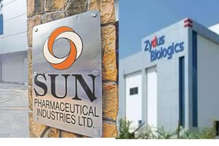 Zydus Lifesciences and Sun Pharma