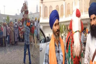 With the Blessings of Guru ramdas ,horse Noorat, dancing on dhol at the occasion of Guru Purab