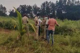 Etv Bharatdead-body-found-in-agriculture-field-while-ploughing-the-tractor