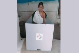 Vote From Home In Kawardha