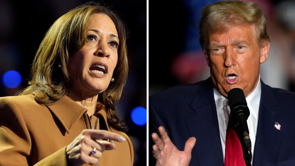 A collage of Democratic presidential nominee Vice President Kamala Harris, left, and Republican presidential nominee former President Donald Trump.