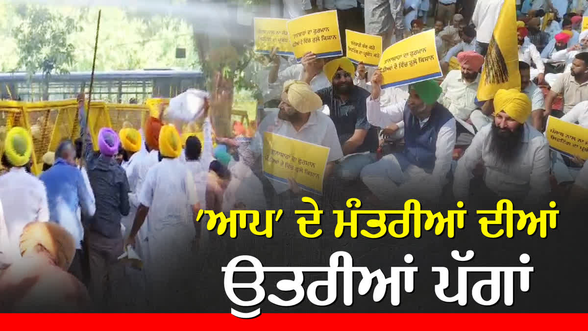 AAP PROTEST CHANDIGARH