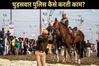 up-what-is-mounted-police-where-is-it-on-duty-know-how-to-protect-kumbh 2025  prayagraj latest news