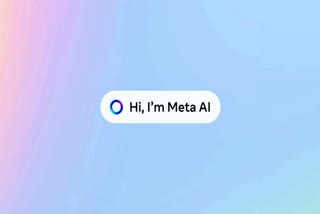 META AI  SEARCH ENGINE  META WORKING ON SEARCH ENGINE  META AI SEARCH ENGINE