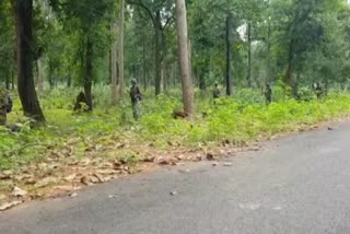 CHHATTISGARH NAXAL NEWS