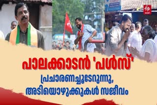 Rahul Mamkootathil  P Sarin  LATEST NEWS IN MALAYALAM  രാഹുല്‍ മാങ്കൂട്ടത്തില്‍ പി സരിന്‍