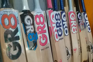 Kashmir Willow Cricket Bat Included In Notified Handicrafts List