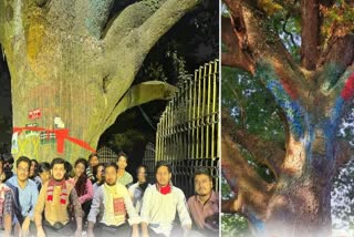 Protests against felling trees for Dighalipukhuri flyover in Assam.