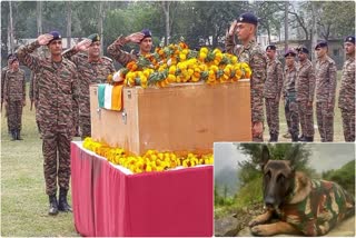 Indian Army Paid Tribute To Slain Combat Dog Phantom During A Wreath-Laying Ceremony