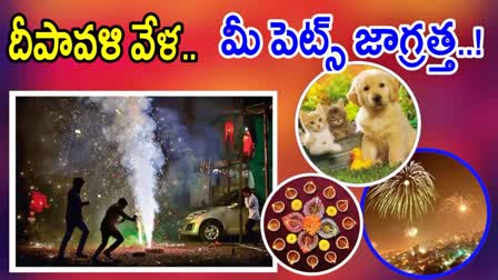 Pets Care During Diwali 2024