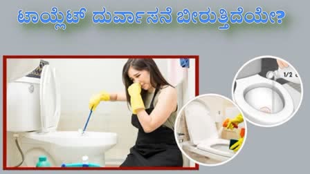 how-to-avoid-bad-smell-from-bathroom-and-bathroom-cleaning-tips-for-diwali