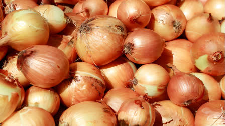 Govt Steps Up Onion Supplies Via Rail Transport To Control Prices; 840 Tonne Reaches Delhi