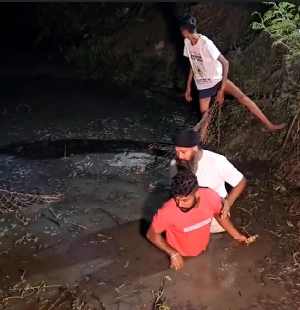 Diver caught a dangerous crocodile with his hands you will be shocked after watching the video