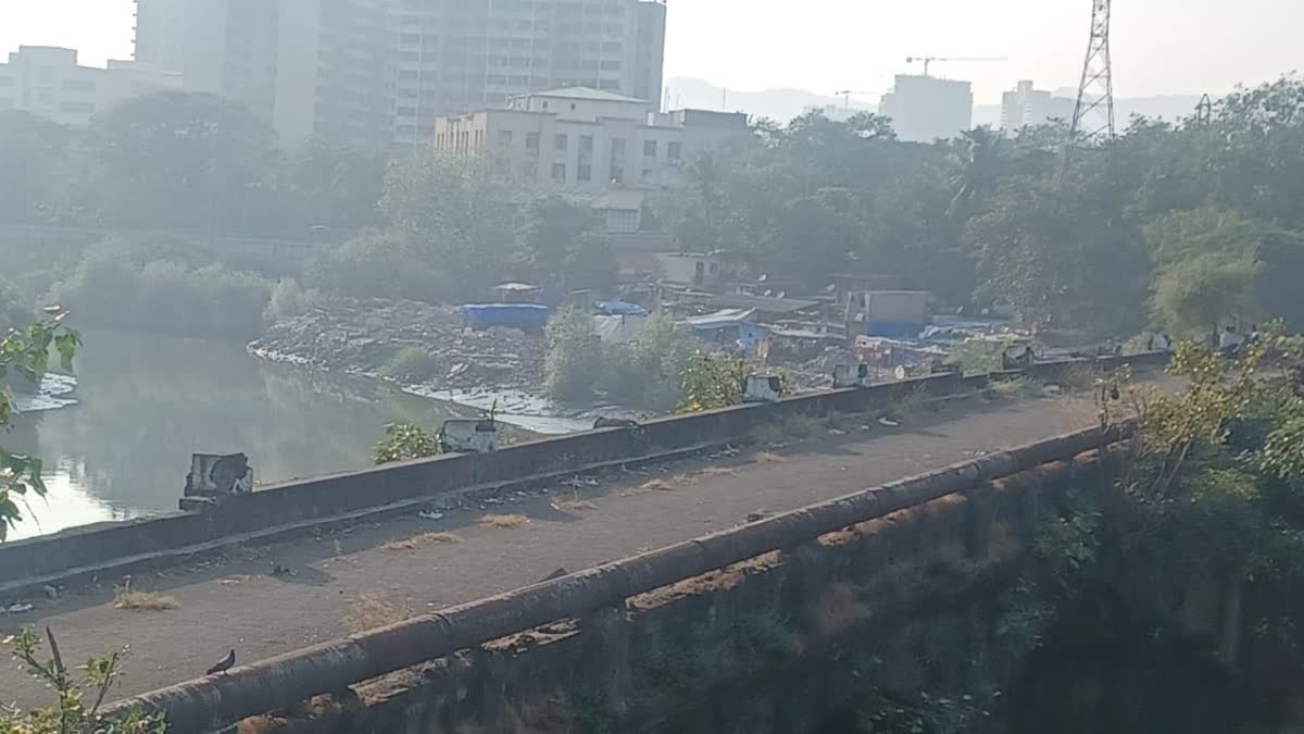 Thane Kalwa Creek Bridge