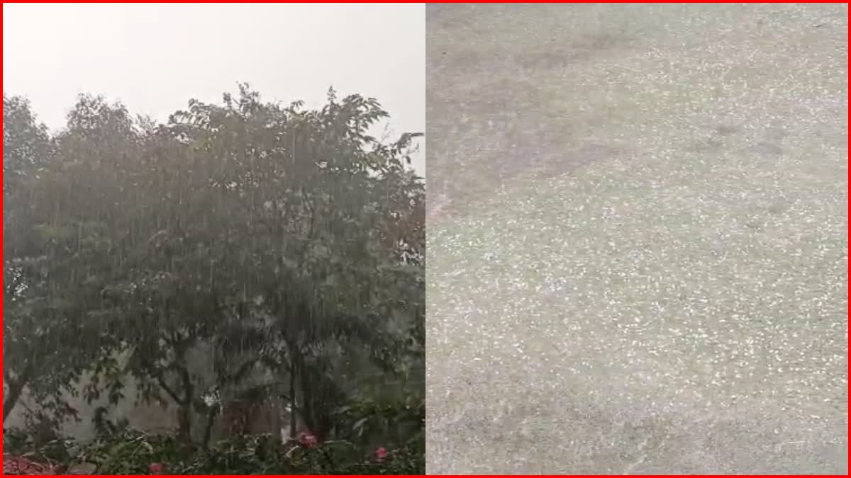 Rain In Chandigarh hailstorm in chandigarh
