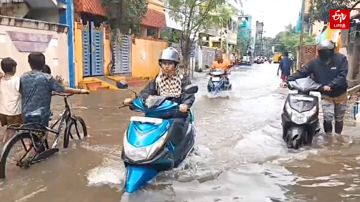 Residents suffer due to stagnant rain water in Velachery
