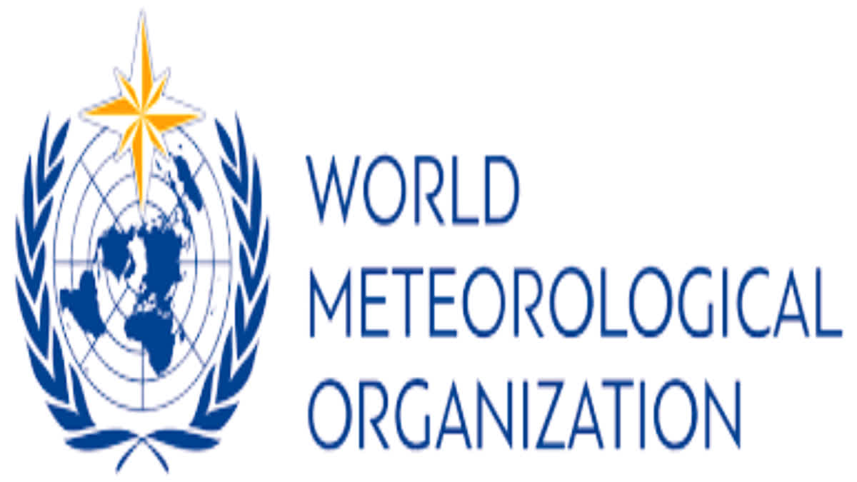 The World Meteorological Organisation representative image