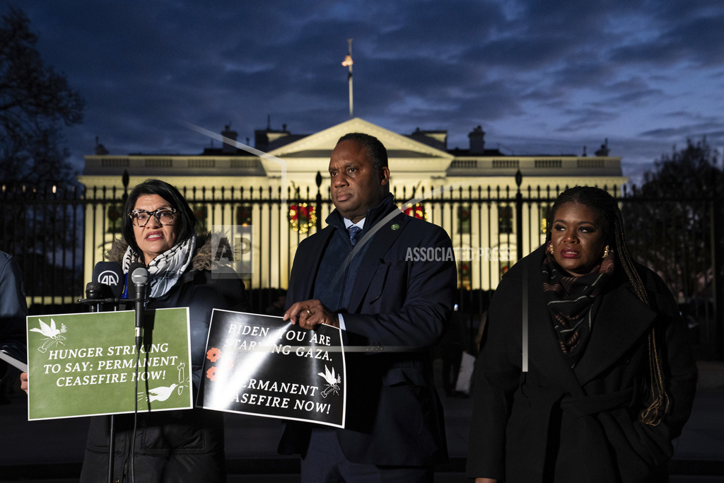 hunger strike outside the White House to demand that President Joe Biden call for a permanent ceasefire in Gaza