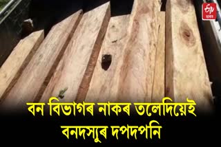 Illegal Timber Seized at Kaliabor