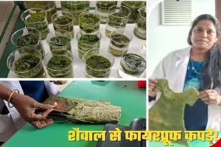 CIMFR Principal Senior Scientist Dr V Anguselv made fireproof clothes from algae in Dhanbad