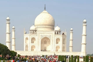 study to find ways to prevent the green colour  stains on the Taj Mahal