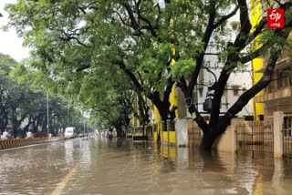 வடகிழக்கு பருவமழை தொடங்கி, மாநில தலைநகர் சென்னை உட்பட பல்வேறு பகுதிகளில் கன மழை பெய்து வருகிறது. இதனால் பல மாவட்டங்களில் இருக்கும் அணைகள், நீர் தேக்கங்கள் போன்றவை நிரம்பி வழிகின்றன. மேலும் தொடர் மழையால் பல மாவட்டங்களில் இருக்கும் பள்ளி, கல்லூரிகளுக்குத் தொடர் விடுமுறை அளிக்கப்பட்டு வருகின்றது. இந்நிலையில் கடந்த இரண்டு நாட்களாகச் சென்னை மற்றும் அதன் சுற்றுவட்டாரப் பகுதிகளில் பெய்து வரும் கன மழை காரணமாக மாநகரின் பல்வேறு பகுதிகளில் மழை நீர் தேங்கி குளம் போல் காட்சி அளிக்கின்றது. இதனால் மக்களின் இயல்பு வாழ்க்கை பாதிக்கப்பட்டுள்ளது. குறிப்பாக பாதசாரிகள் மற்றும் வாகன ஓட்டிகள் மிகவும் சிரமப்பட்டு வருகின்றனர். இந்நிலையில் சென்னையின் பிரதான நீர் தேக்கங்களாக இருக்கும் புழல் மற்றும் செம்பரம்பாக்கம் ஏரிகள் நிறம்பிதை அடுத்து, ஏரியில் இருந்து உபரி நீர் திறந்து விடப்பட்டுள்ளது. மேலும் பொதுமக்கள் சாலையில் தேங்கி இருக்கும் மழைநீரை உடனடியாக அகற்ற சென்னை பெருநகர் மாநகராட்சி நடவடிக்கை எடுக்க வேண்டும் எனக் கோரிக்கை வைத்துள்ளனர்.