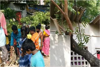 YCP_Leaders_Removing_Poor_Houses_in_Vijayawada