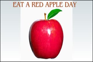 Etv BharatEat a Red Apple Day 2023