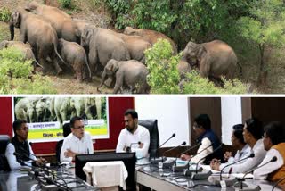 elephant menace in korba