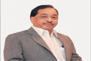 Narayan Rane