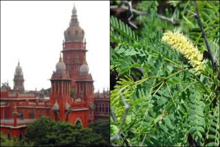 Chennai High Court