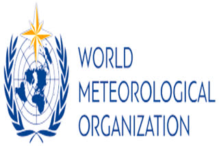 The World Meteorological Organisation representative image