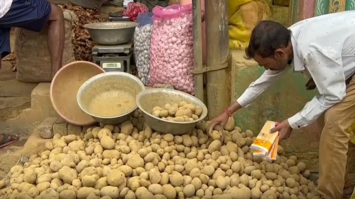 POTATO PRICE RISES IN ODISHA