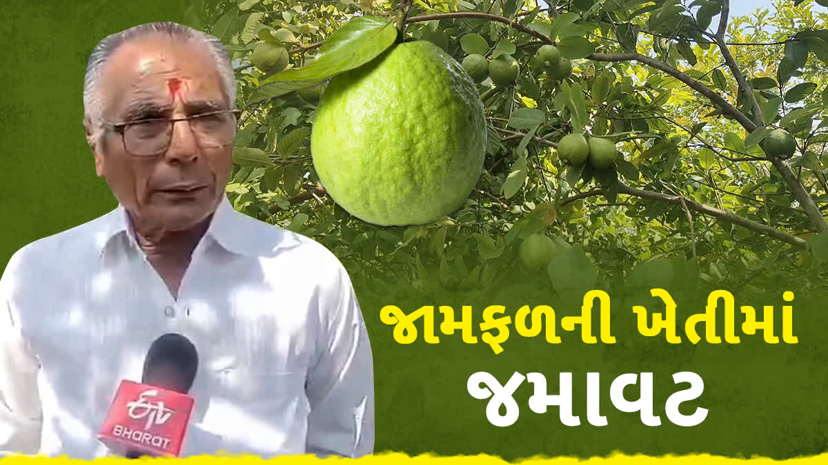 અમરેલી પંથકના આ ખેડૂતે કરી વાર્ષિક 4 થી 5 લાખ રૂપિયાની કમાણી