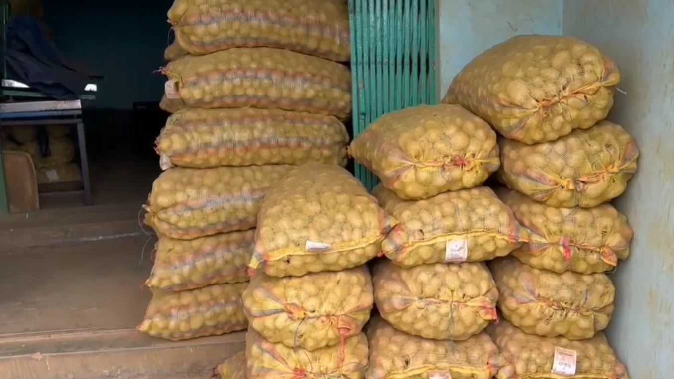 POTATO PRICE RISES IN ODISHA