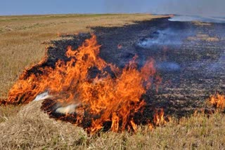 Stubble Burning  in Nalanda