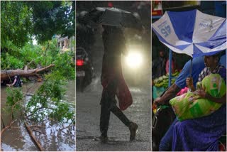 CYCLONE FENGAL COASTAL TAMIL NADU