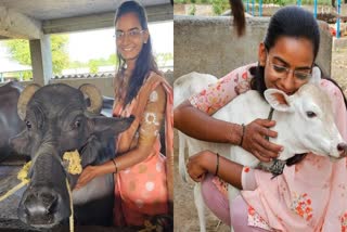 SHRADDHA DHAWAN  SHRADDHA DHAWAN DIARY FARM  ശ്രദ്ധ ധവാൻ  LIFE STORY OF SHRADDHA