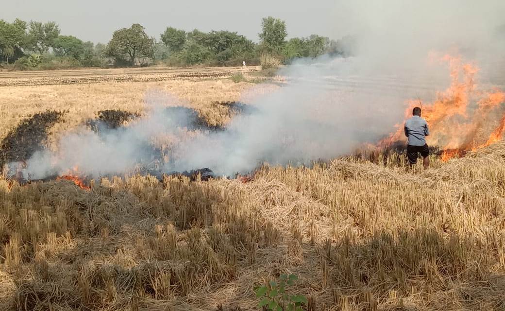 Stubble Burning  in Nalanda