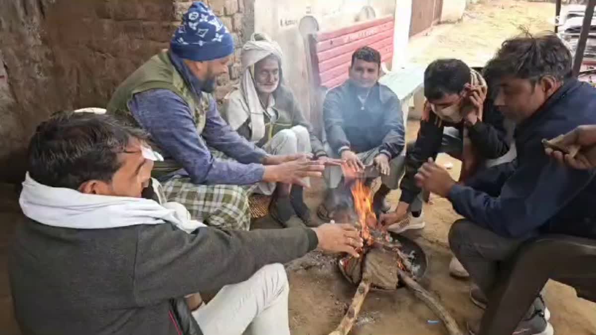 Cold and Fog in Haryana