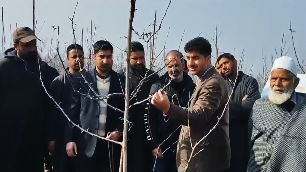 horticulture-department-organised-demonstration-drive-program-in-kokernag