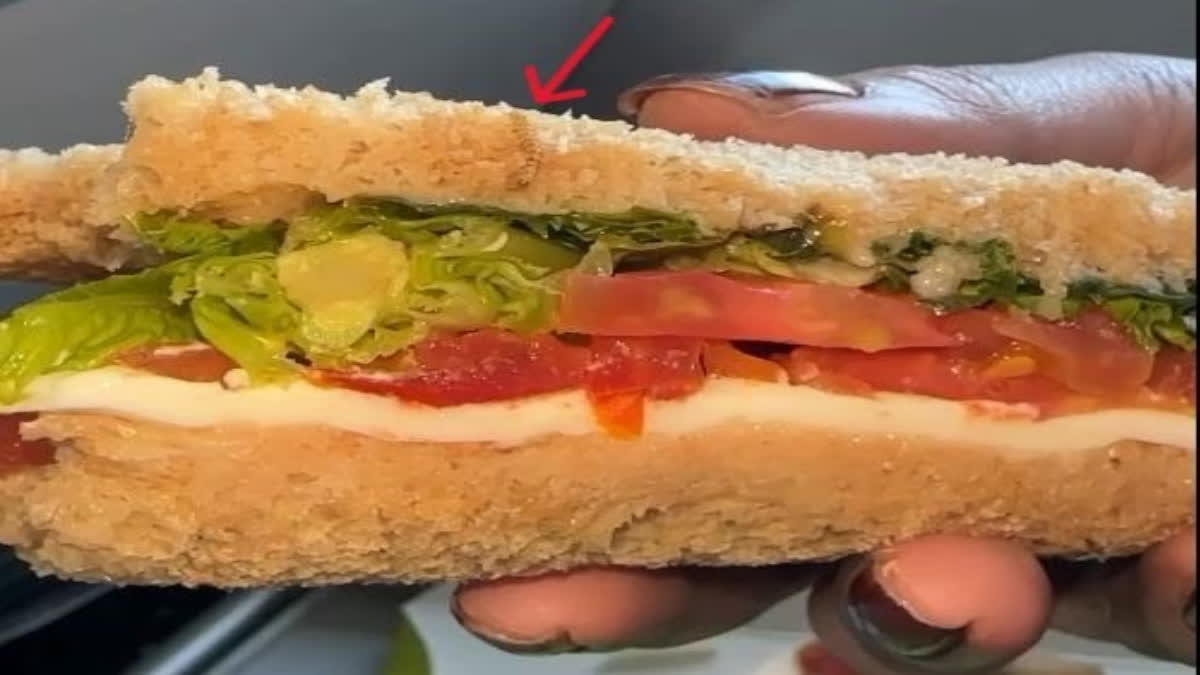 Worm found in sandwich in Indigo flight (Photo: @shukla-tarun)